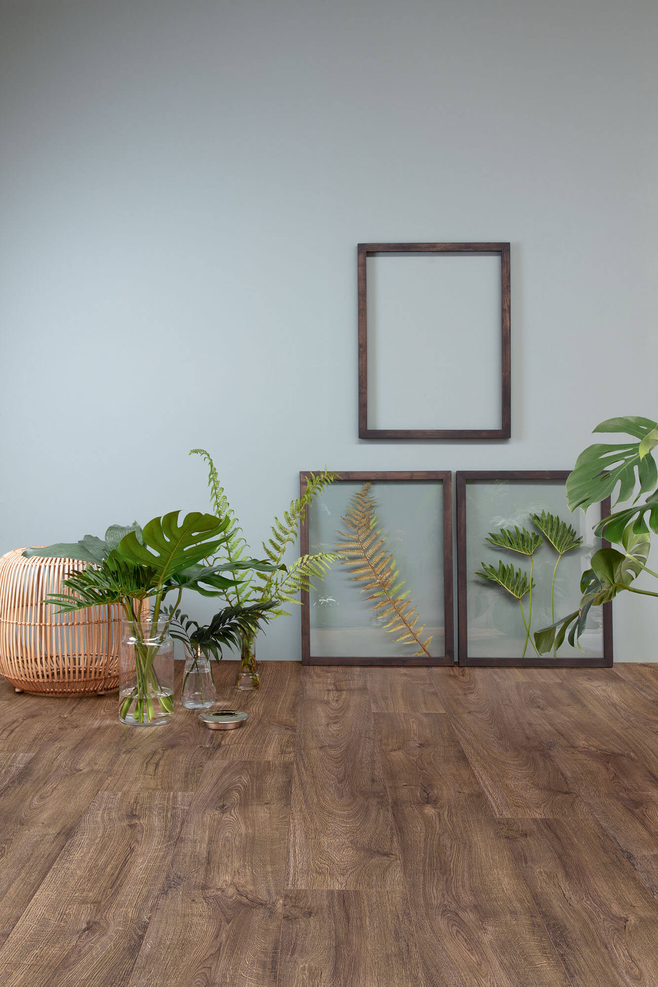 Room interior with framed botanical prints and plants on a wooden floor.