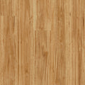 Bloom - Urban Blackbutt