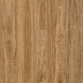 Bloom - Wild Spotted Gum