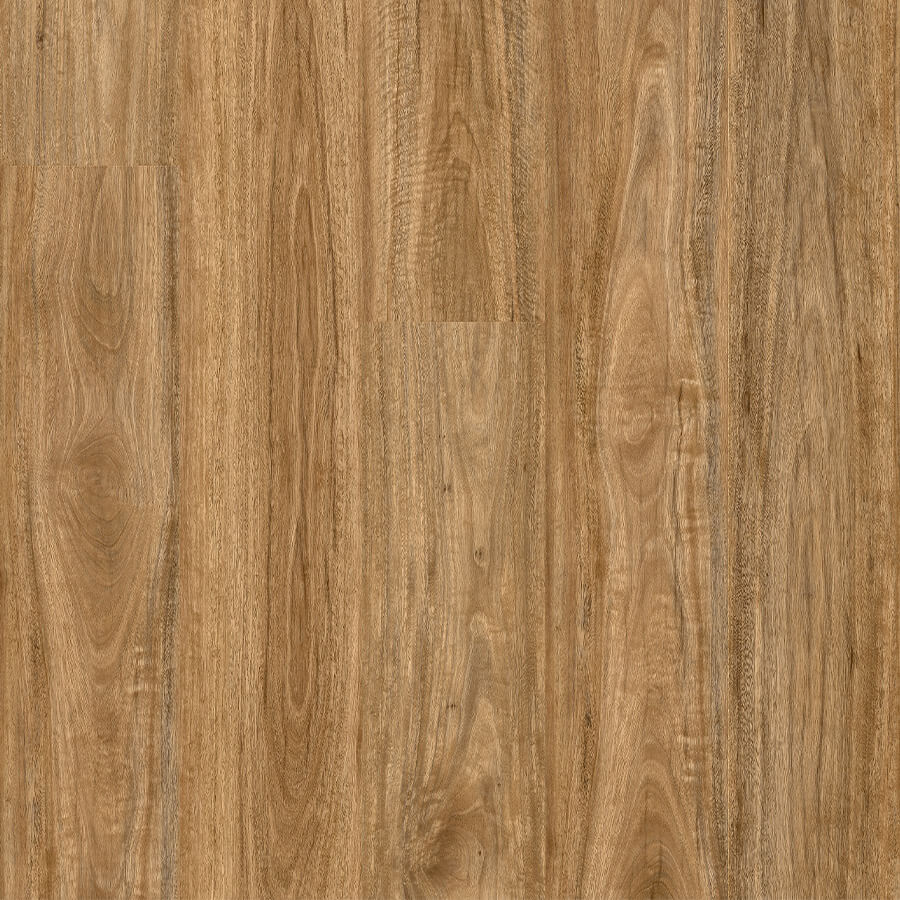 Bloom - Wild Spotted Gum