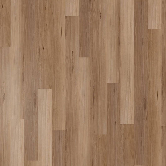 Apollo Hardwood Hybrid - Blackbutt Classic