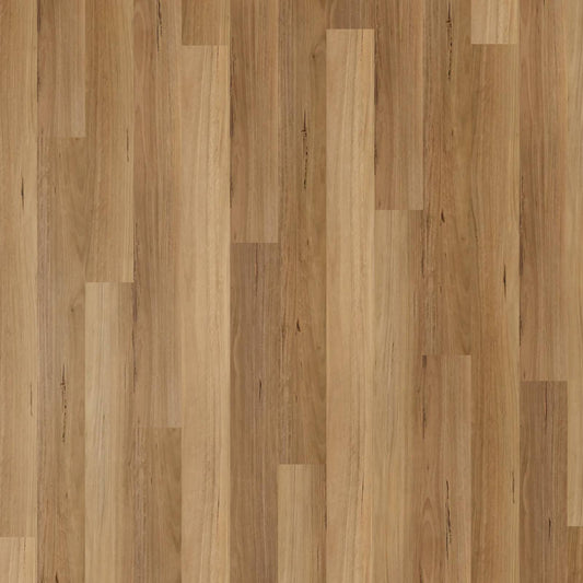 Apollo Hardwood Hybrid - Blackbutt Elegant