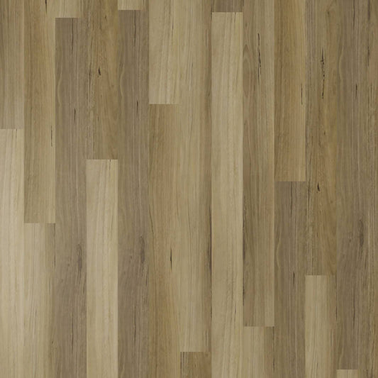 Apollo Hardwood Hybrid - Blackbutt Sandbank