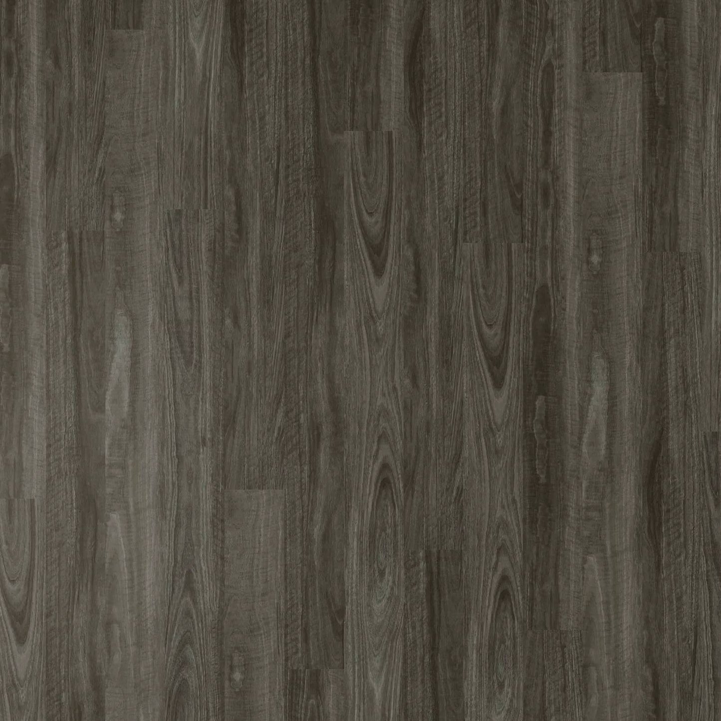 Apollo Hardwood Hybrid - Spotted Gum Burnt