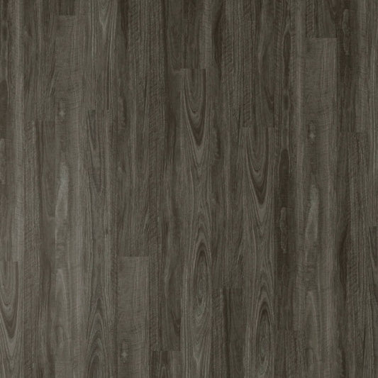 Apollo Hardwood Hybrid - Spotted Gum Burnt