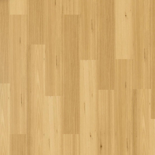 Apollo Hybrid - New England Blackbutt