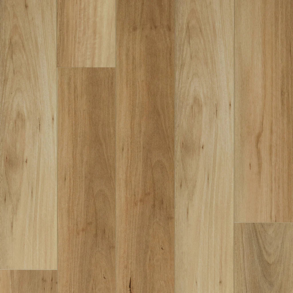 Atlantis Hybrid - Coastal Blackbutt