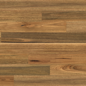 Australian Native - NSW Spotted Gum Wide