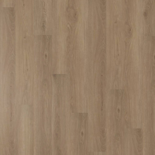 Belle Grande - Cosmo Oak