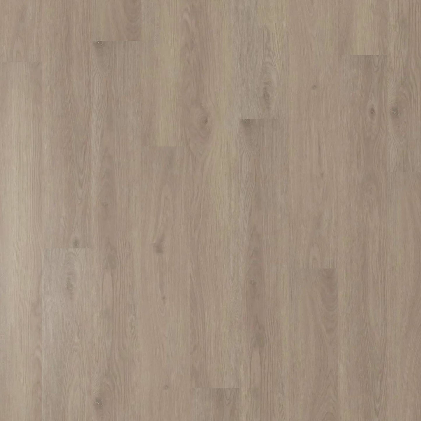 Belle Grande - Fall Oak