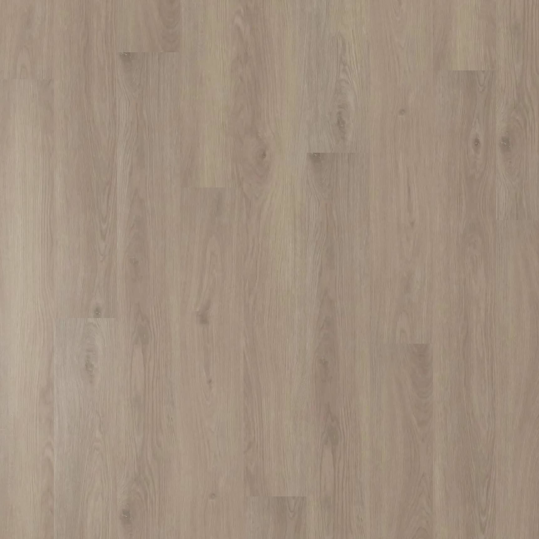 Belle Grande - Fall Oak