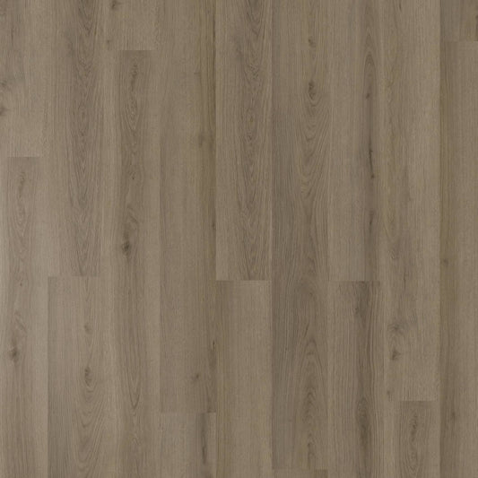 Belle Grande - Northern Oak