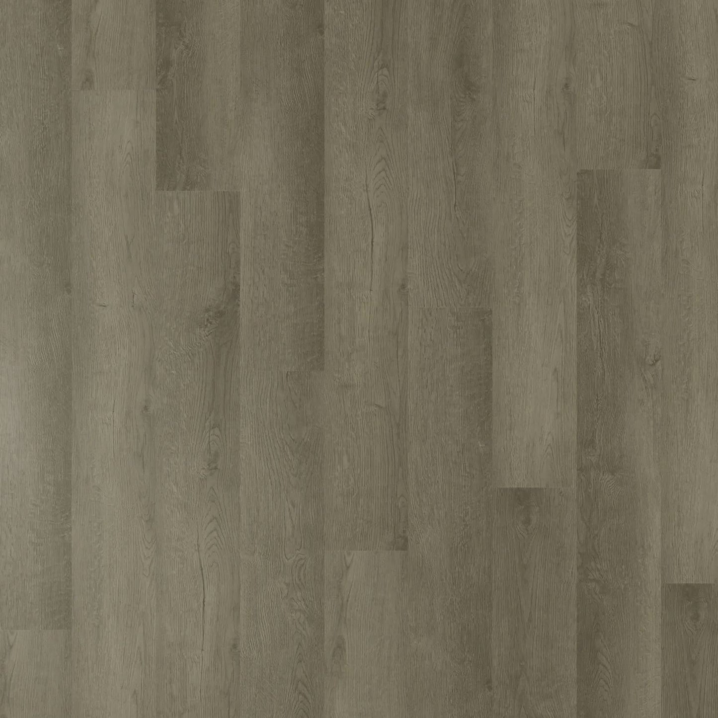 Belle Grande - Walnut Oak