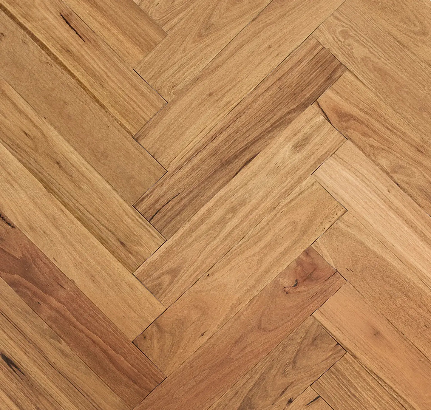 Hardwood Plus - Blackbutt Herringbone