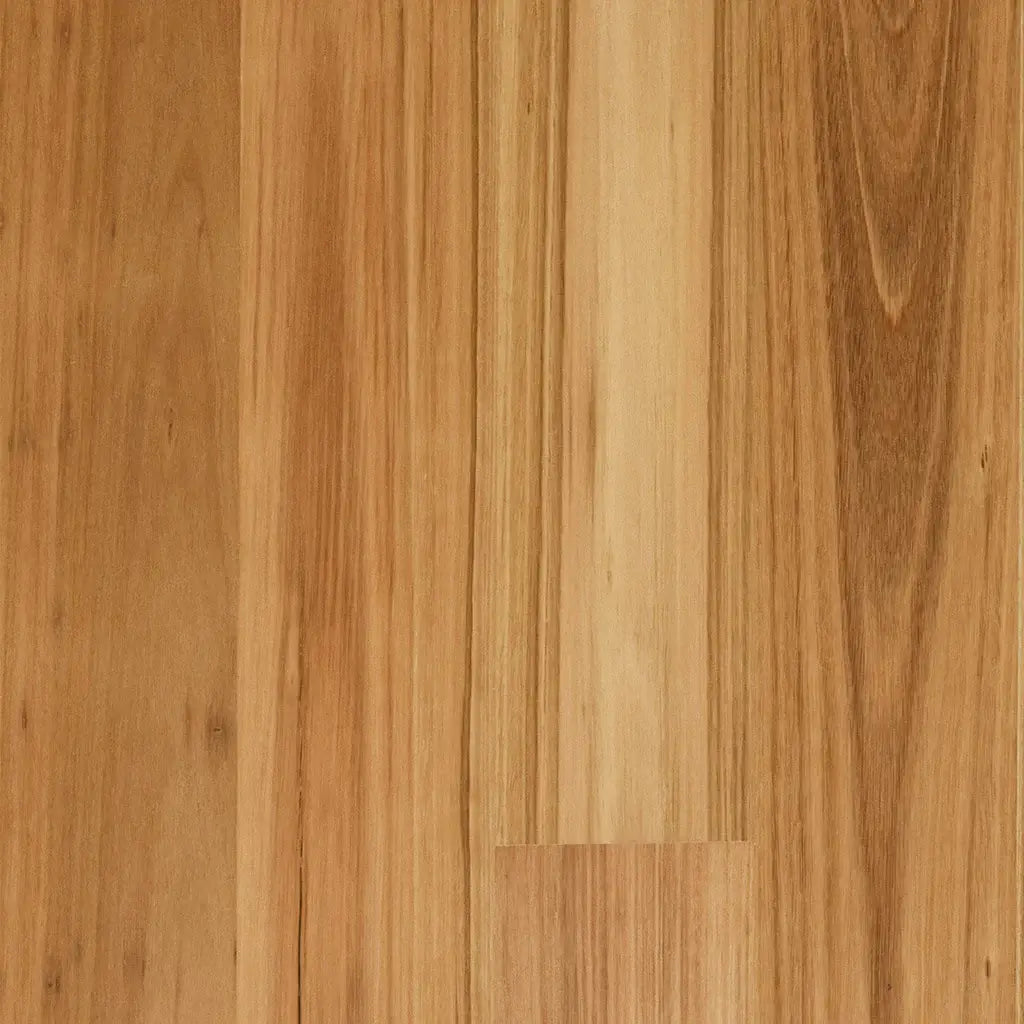 Hardwood Plus - Blackbutt Matt Brushed Wide - 1820mm