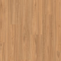 Classic - Classic Blackbutt Light