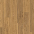 Classic - Classic Spotted Gum Light