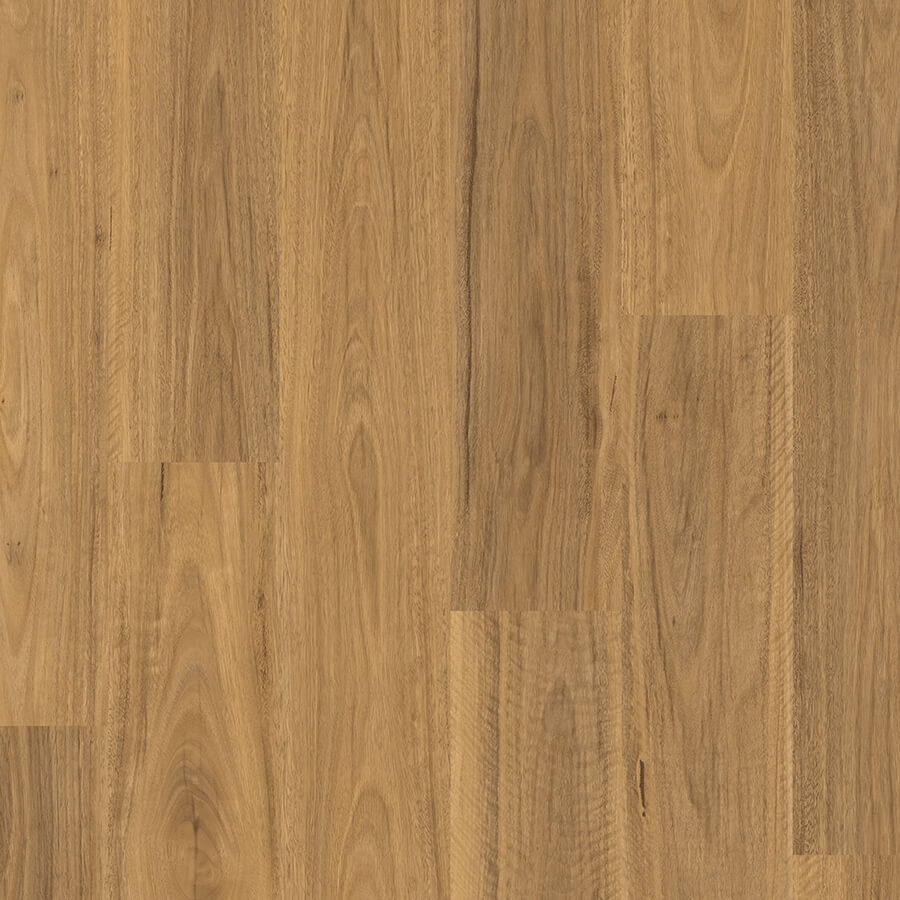 Classic - Classic Spotted Gum Light