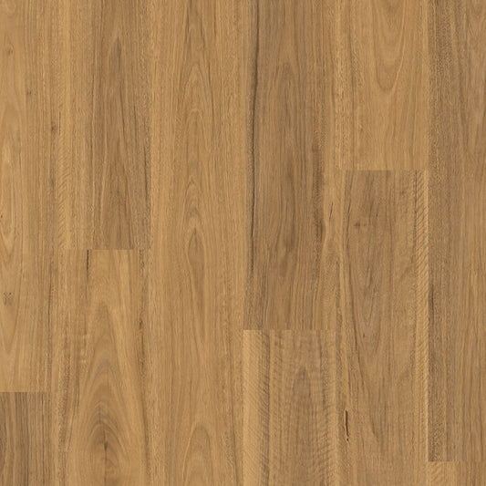 Classic - Classic Spotted Gum Light