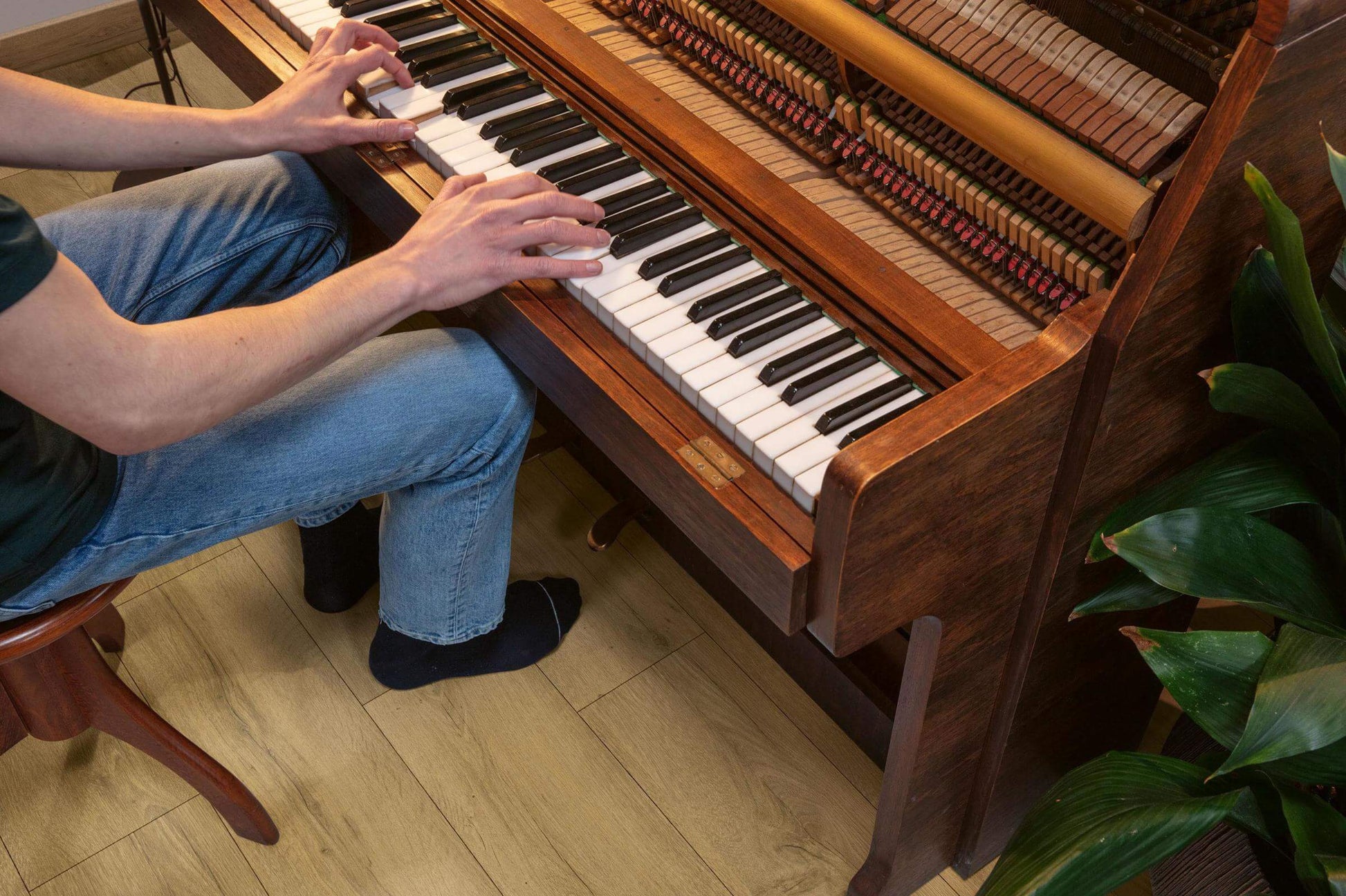 Person playing a wooden piano with a plant in the background