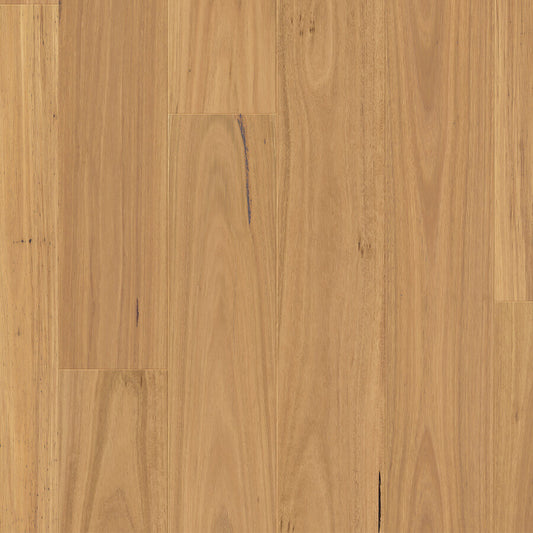 Clix XL - Natural Blackbutt