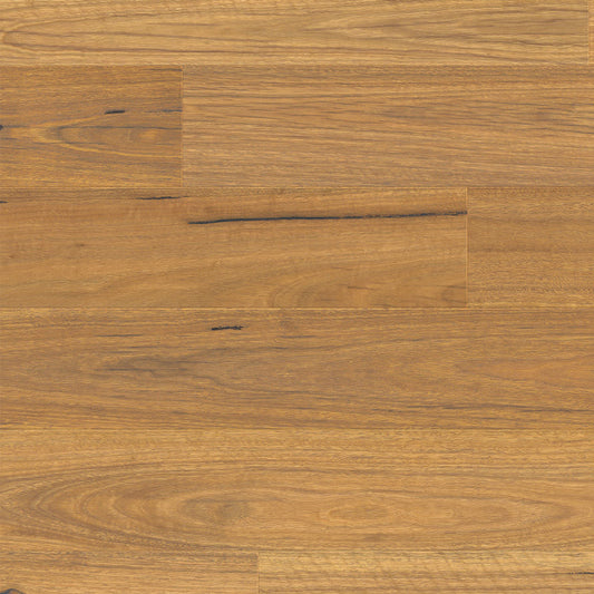 Urbancore Max - Bushland Spotted Gum