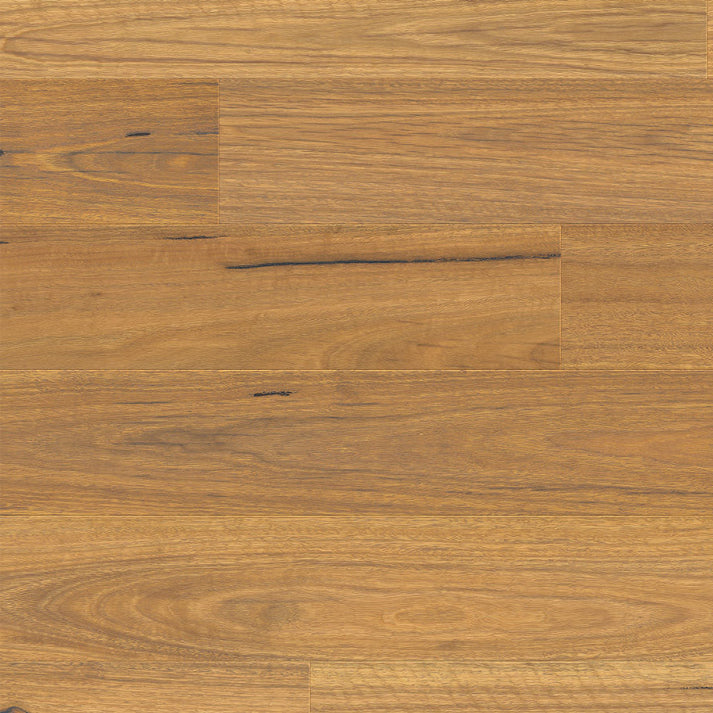 Urbancore Max - Bushland Spotted Gum – Buy Timber Flooring Online