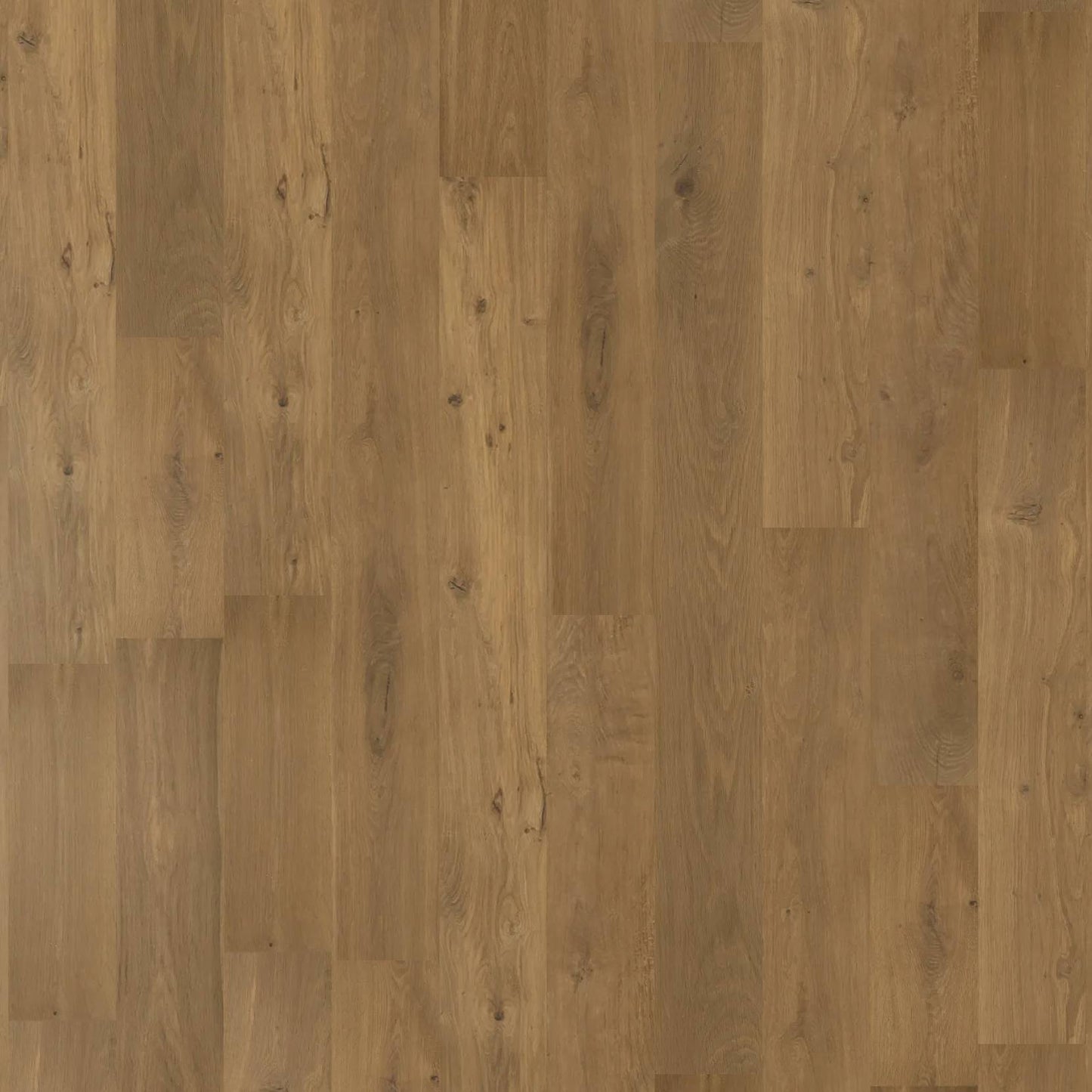 Chateau Oak - Autumn Amber