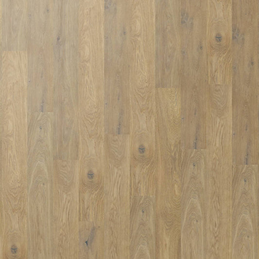 Chateau Oak - Elm Oak