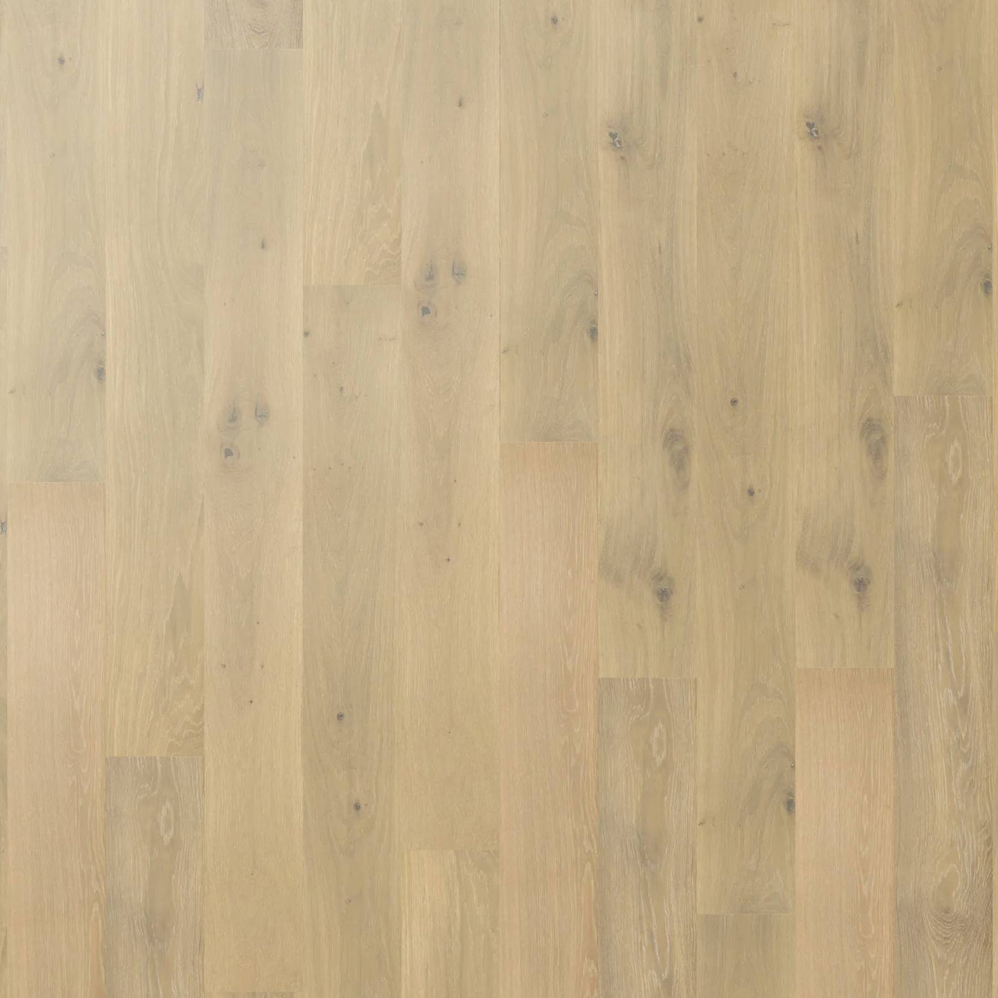 Chateau Oak - Sienna Oak