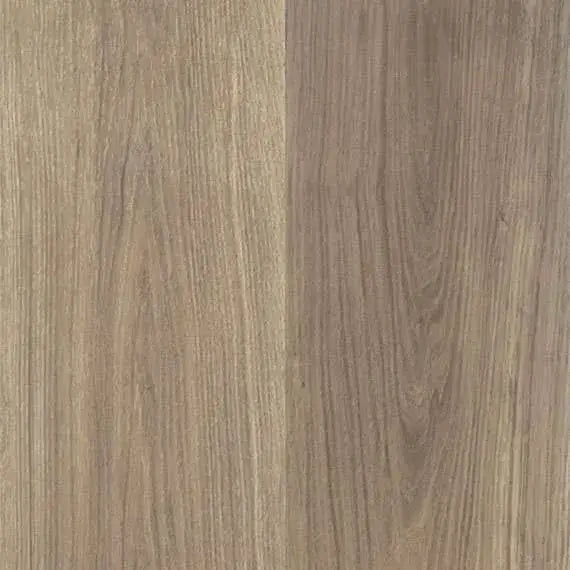 Highland Oak Hybrid - Autumn Harvest