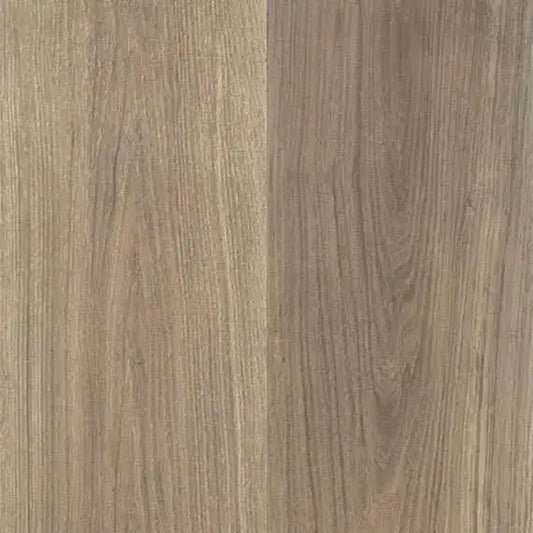 Highland Oak Hybrid - Autumn Harvest