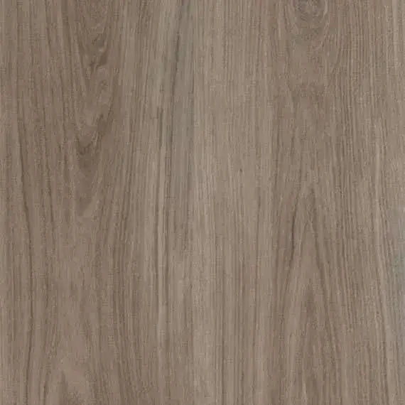 Highland Oak Hybrid - Arlington Grove