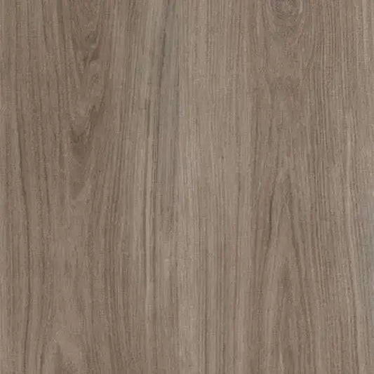 Highland Oak Hybrid - Arlington Grove