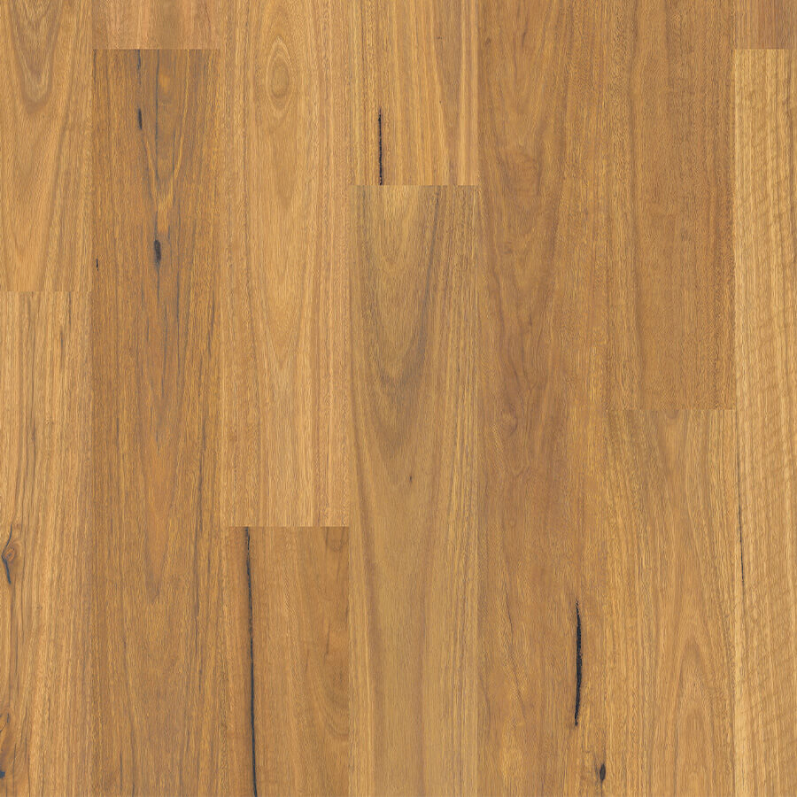 Eligna - Pure Spotted Gum