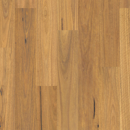 Eligna - Pure Spotted Gum
