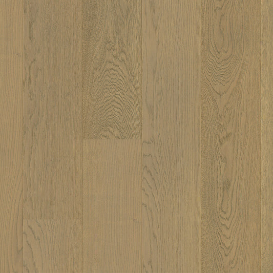 Faro - Fossil Oak Extra Matt