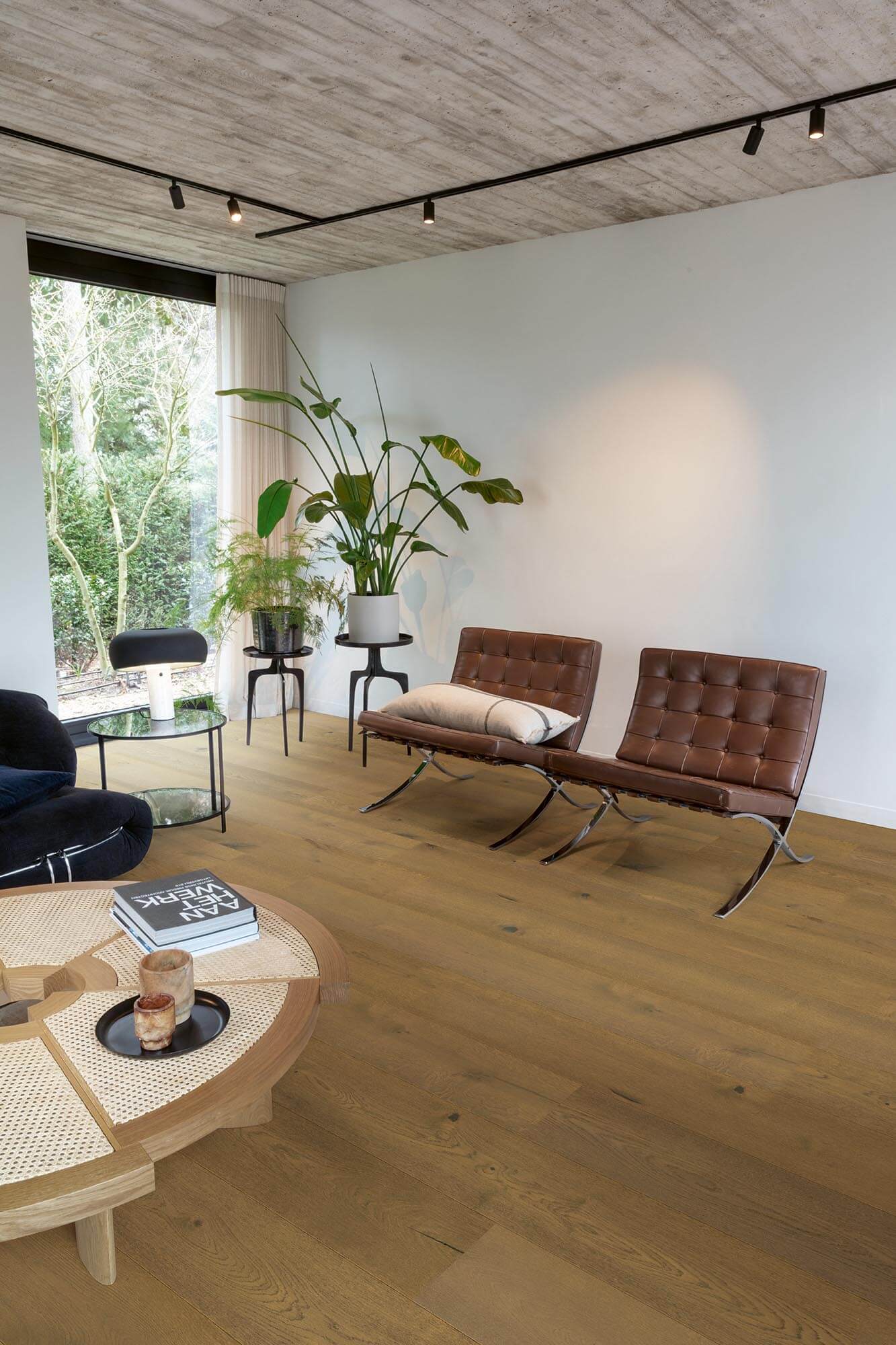 Modern living room with brown chairs, a round coffee table, and large windows.