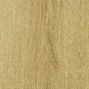 Summerhill Hybrid - Safari Sun