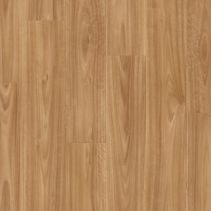 Impressive - Blackbutt