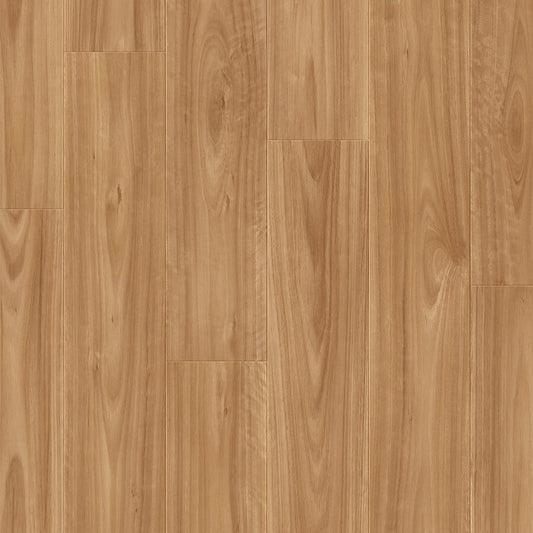 Impressive - Blackbutt