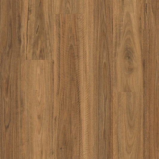Impressive - Spotted Gum