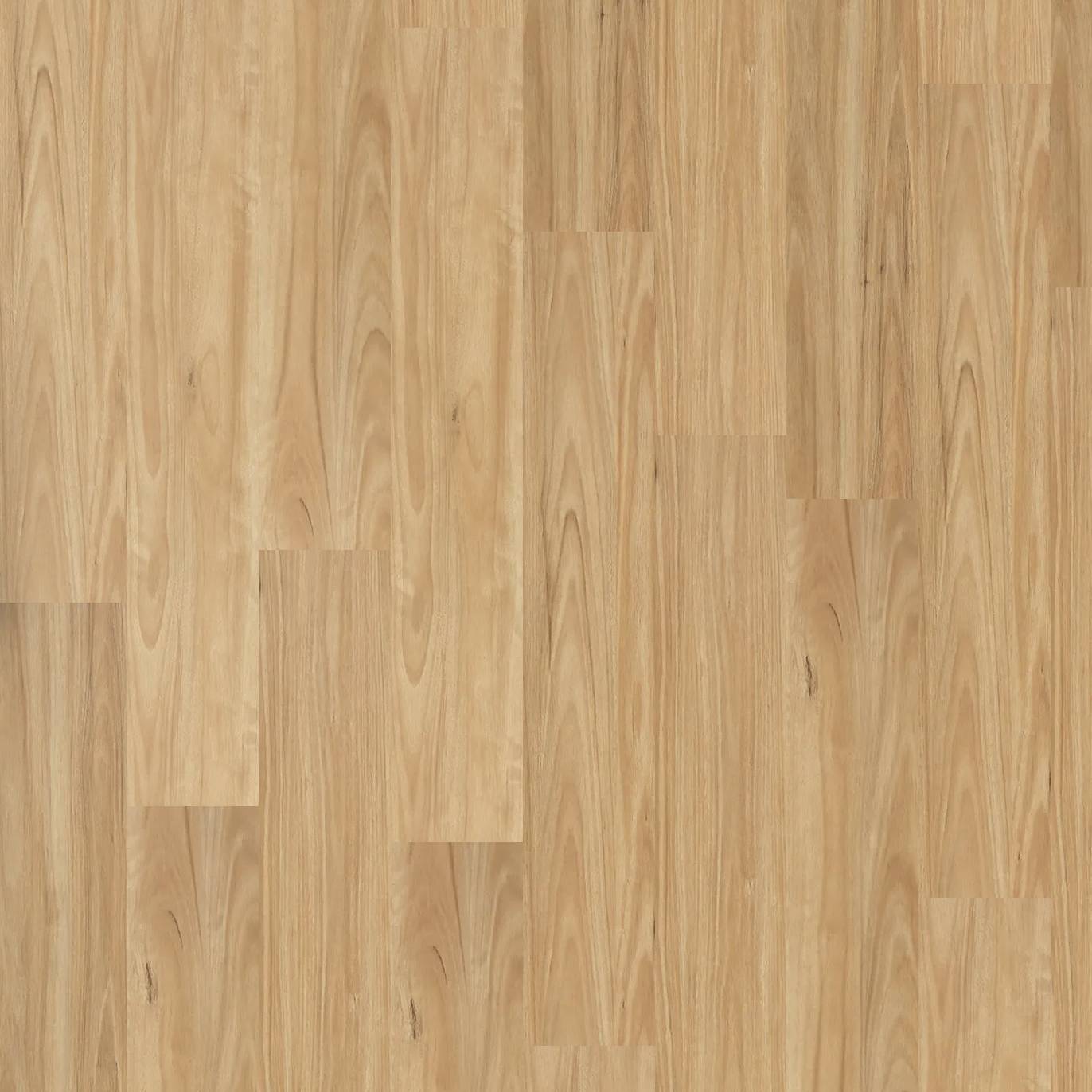 Legacy 1200 - Alpine Blackbutt