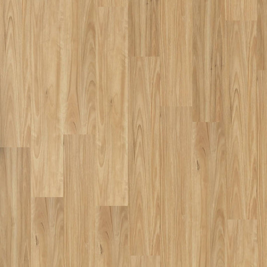 Legacy 1200 - Alpine Blackbutt