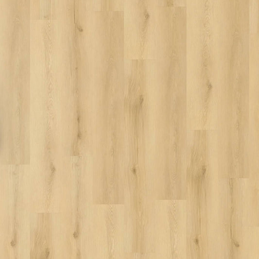 Legacy 1200 - Amber Glow