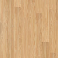 Legacy 1200 - Eastern Blackbutt