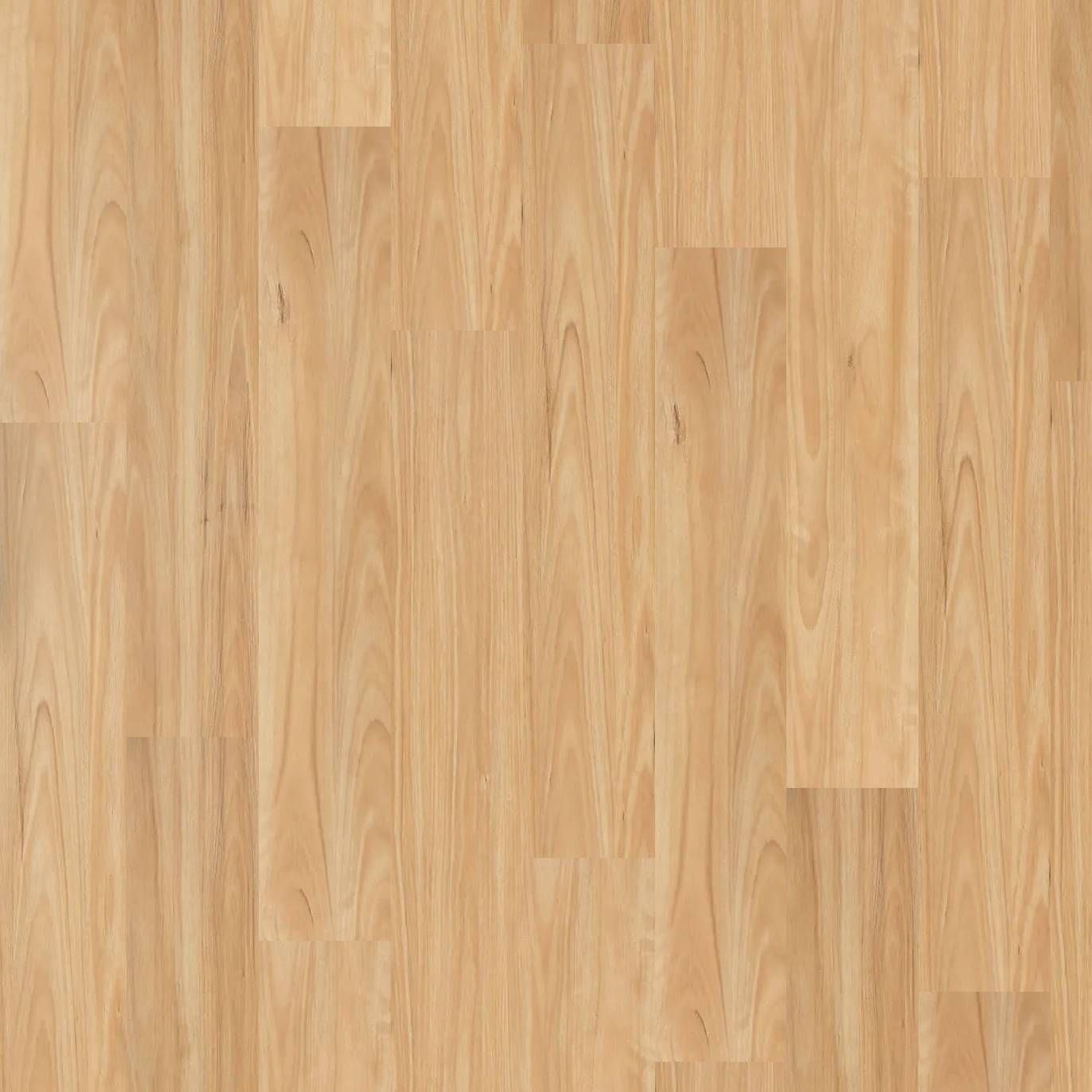 Legacy 1200 - Eastern Blackbutt