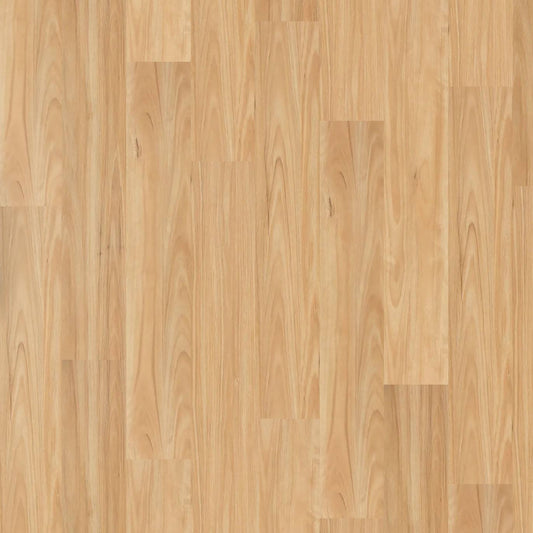 Legacy 1200 - Eastern Blackbutt