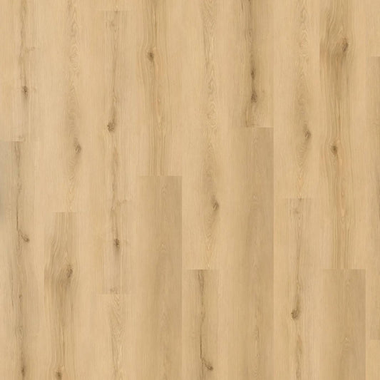 Legacy 1200 - Sunset Birch