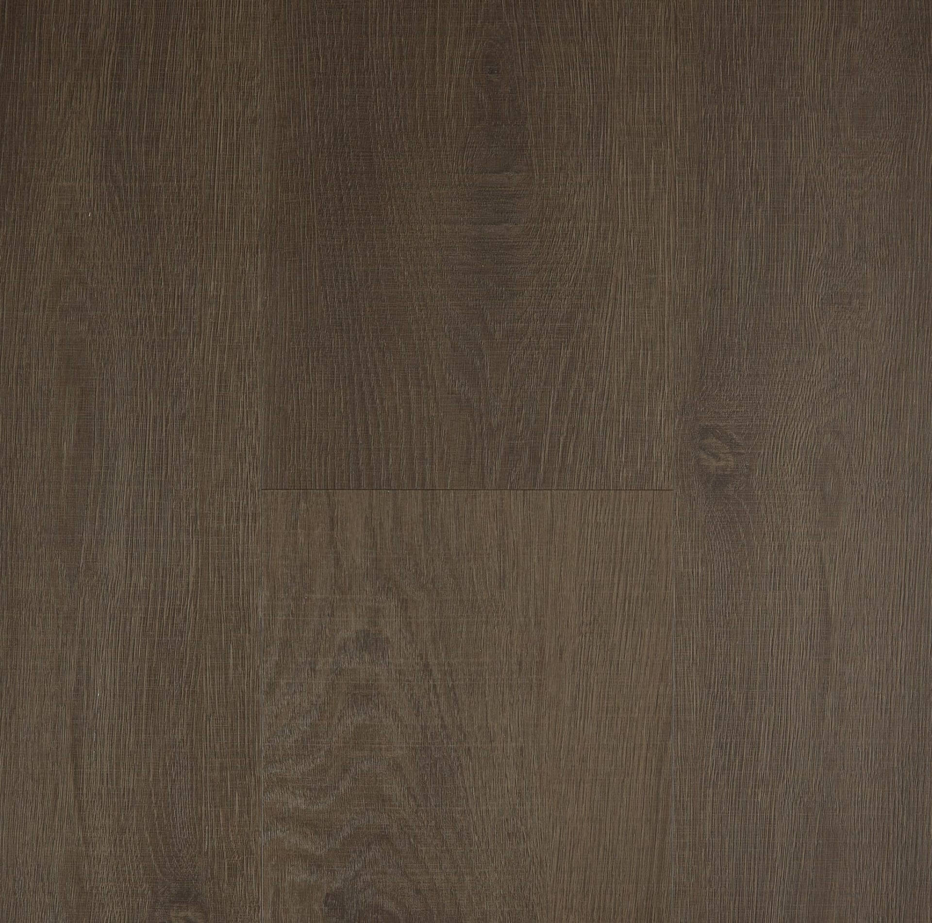Lifestyle EPC Hybrid - Carbon